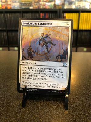 Meticulous Excavation  (BRO)