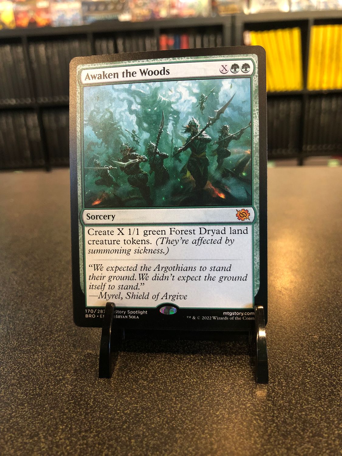 Awaken the Woods  (BRO)