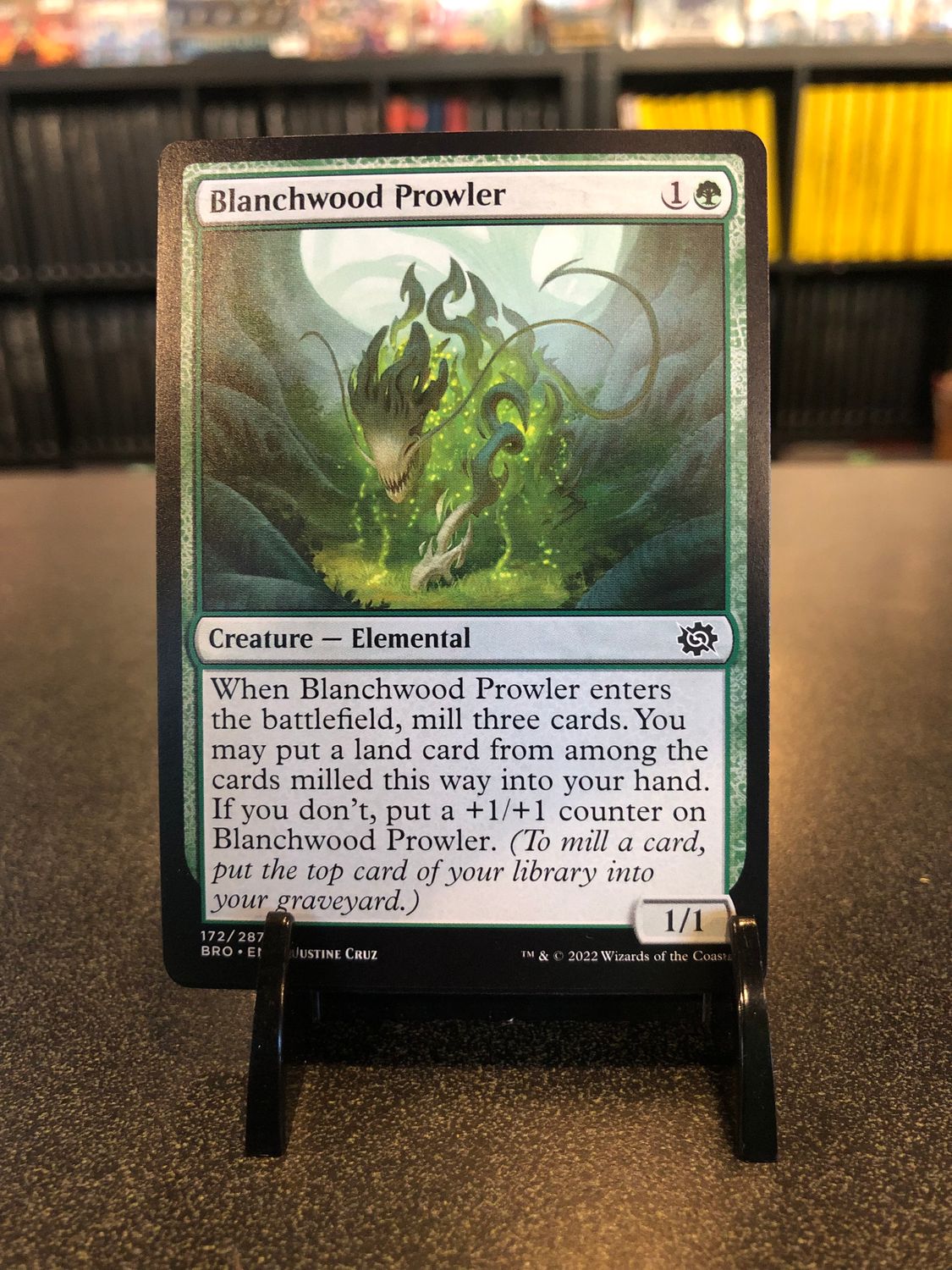 Blanchwood Prowler  (BRO)