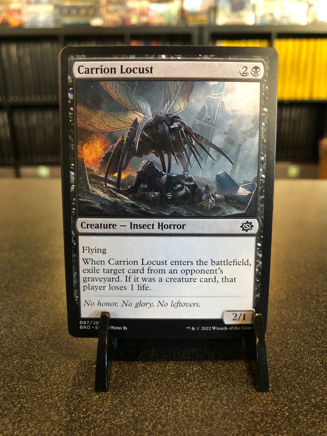 Carrion Locust  (BRO)