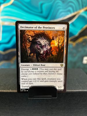 Decimator of the Provinces  (INR)