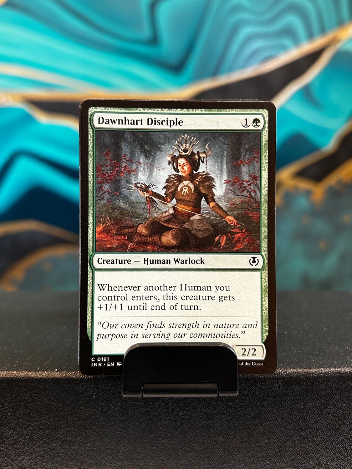 Dawnhart Disciple  (INR)
