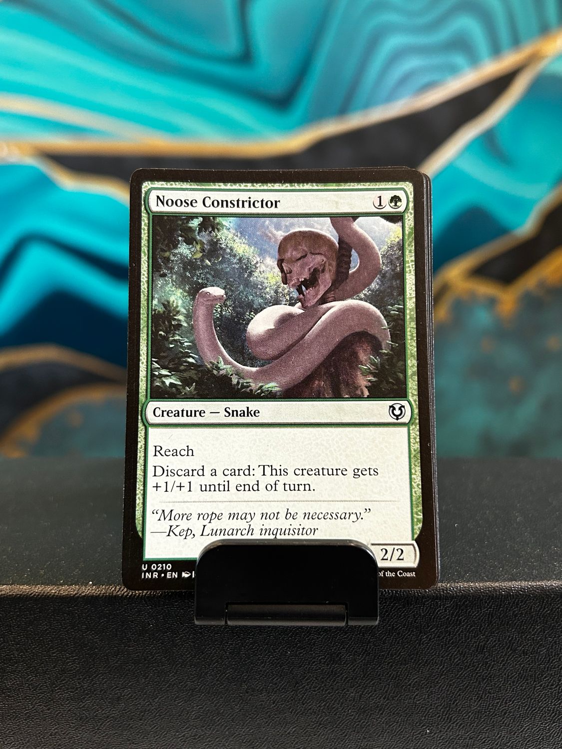 Noose Constrictor  (INR)