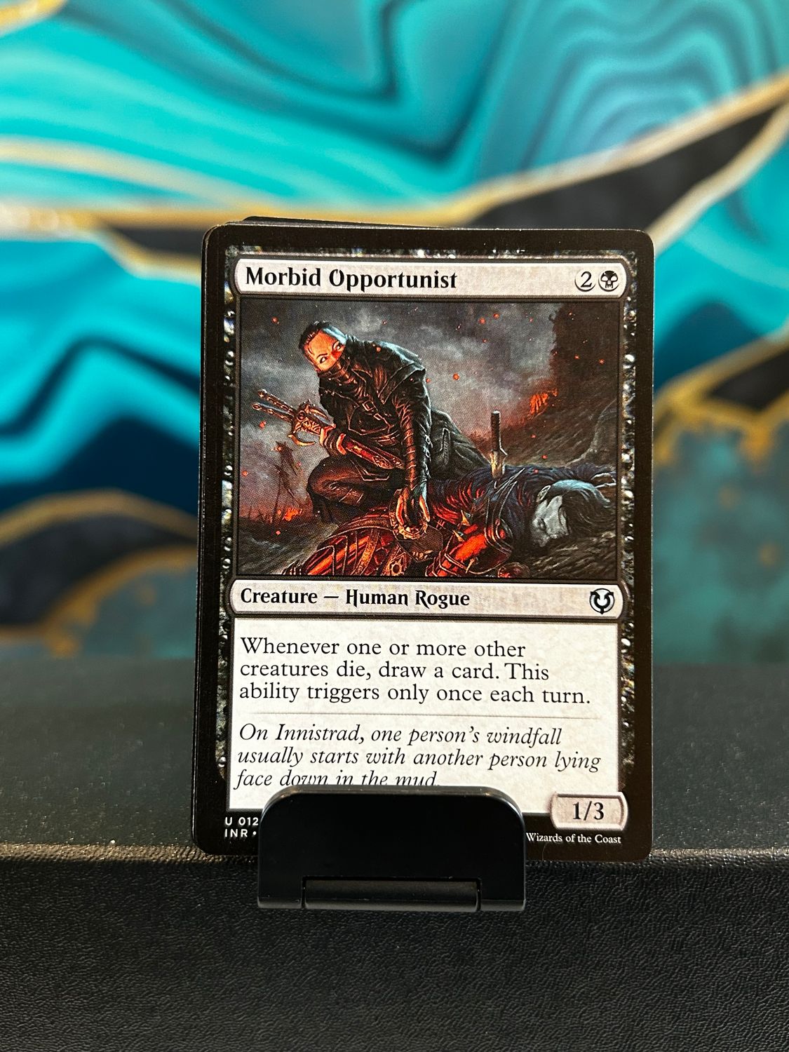 Morbid Opportunist  (INR)