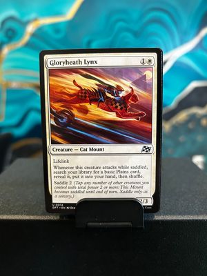Gloryheath Lynx  (DFT)
