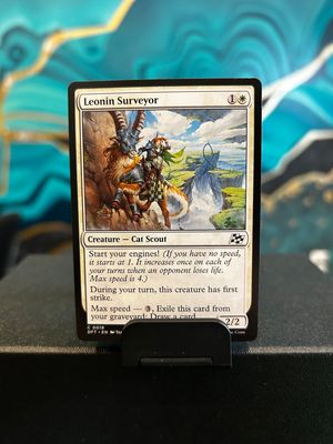 Leonin Surveyor  (DFT)