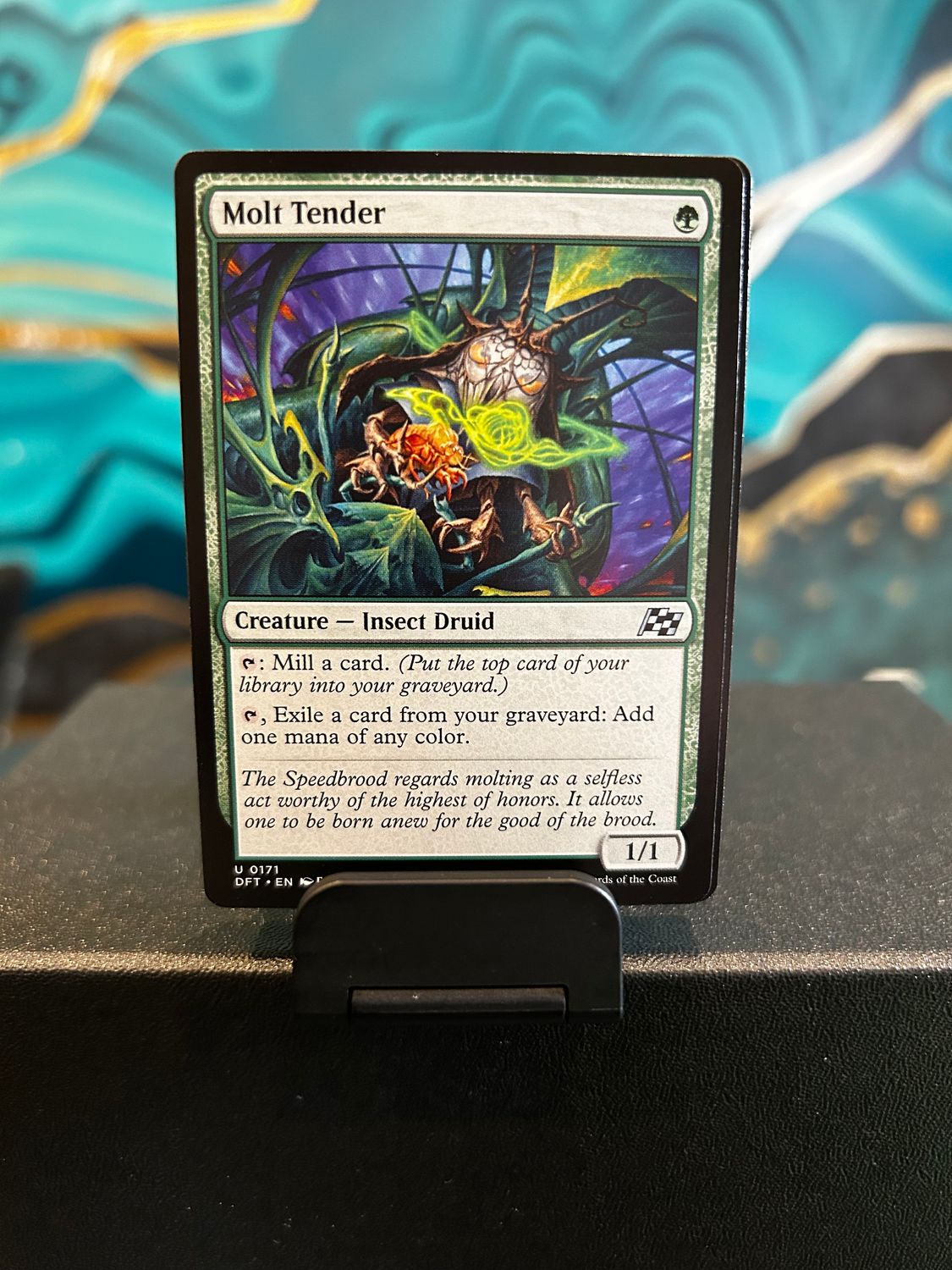 Molt Tender  (DFT)