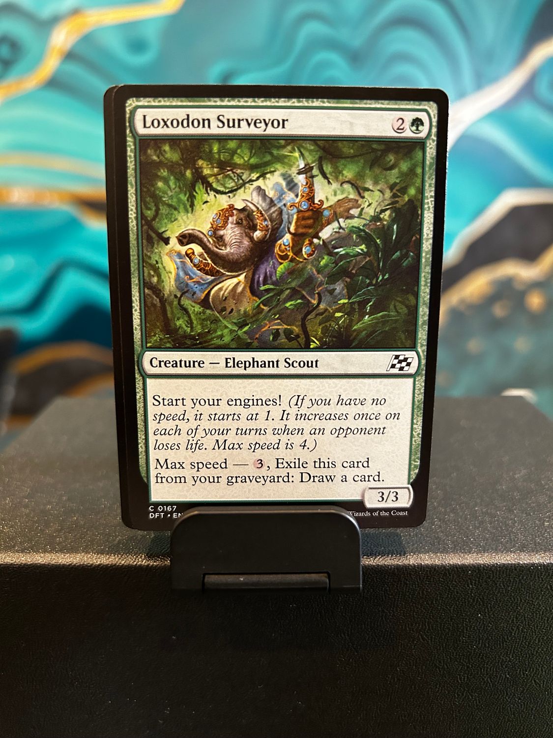 Loxodon Surveyor  (DFT)