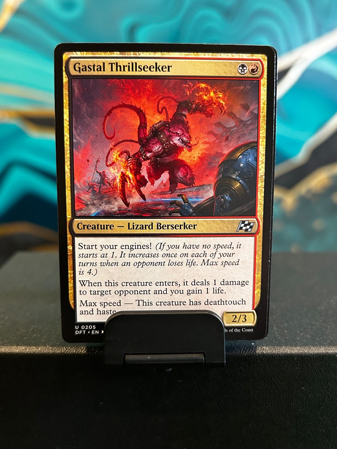 Gastal Thrillseeker  (DFT)