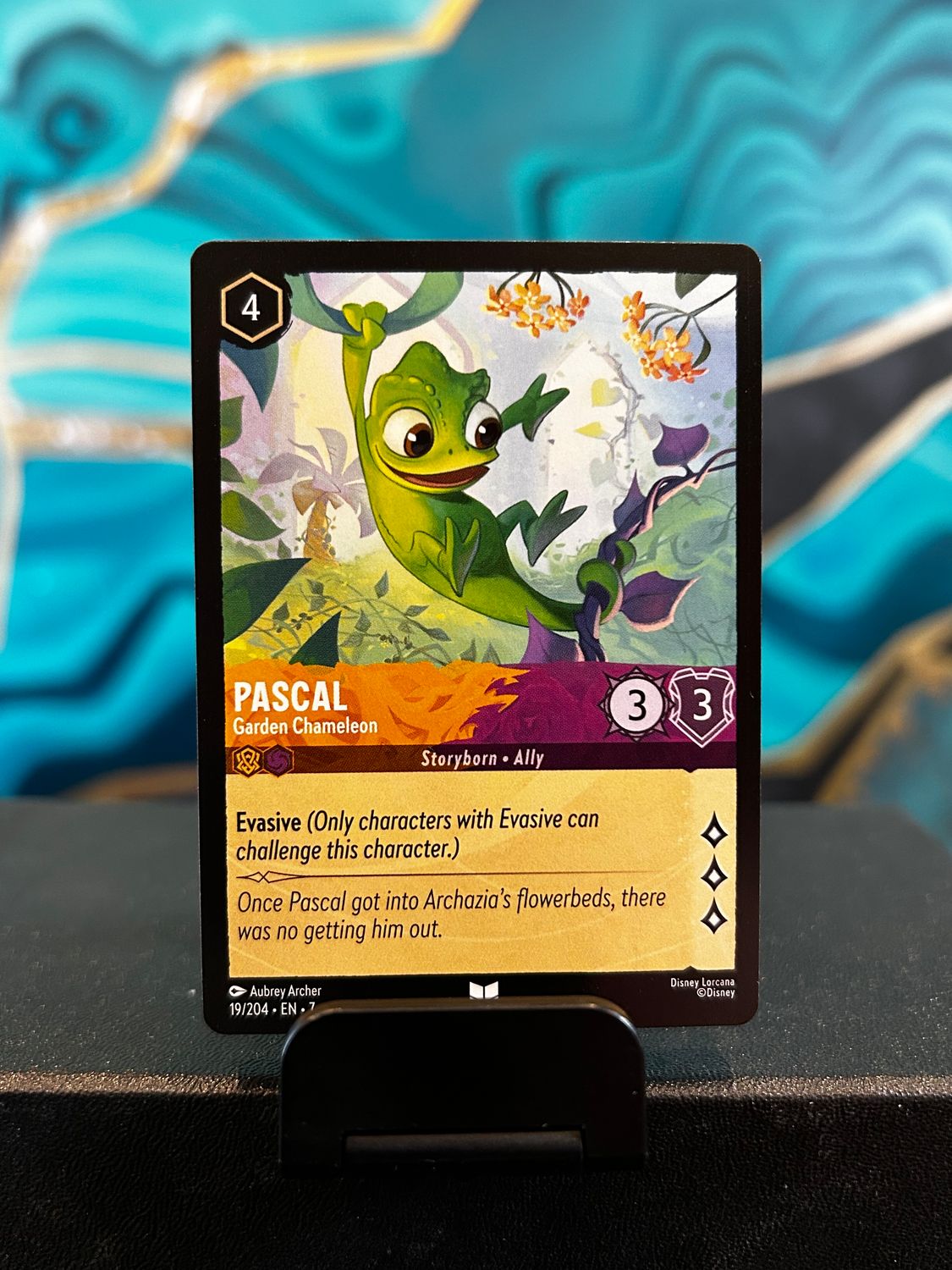 Pascal - Garden Chameleon  19 (ARI)