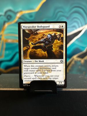 Wayspeaker Bodyguard  (TDM)
