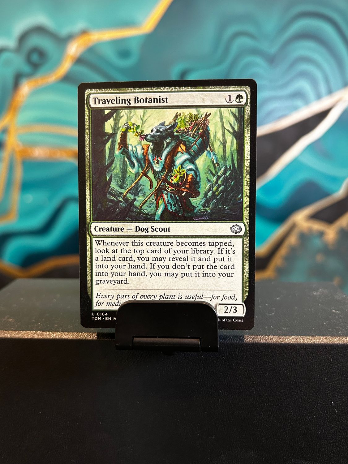 Traveling Botanist  (TDM)
