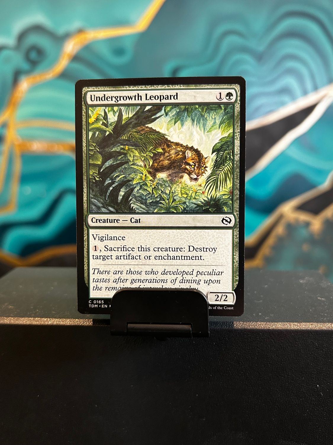 Undergrowth Leopard  (TDM)