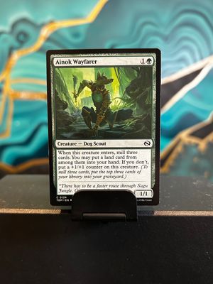 Ainok Wayfarer  (TDM)