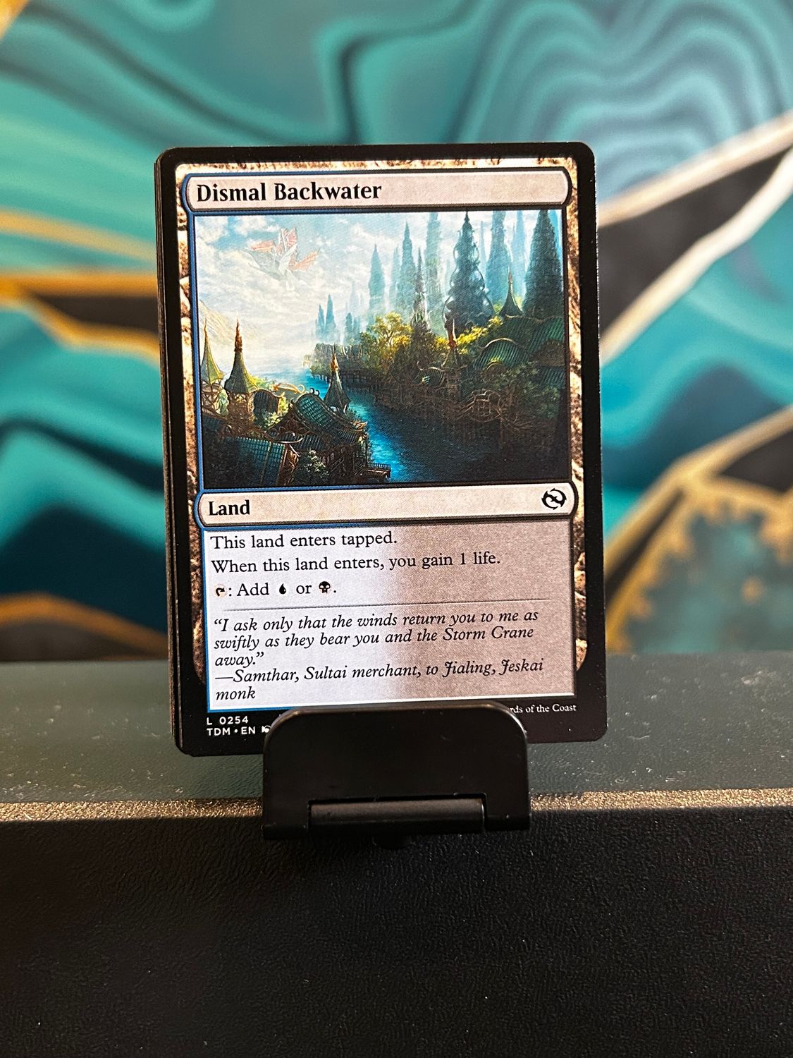 Dismal Backwater  (TDM)