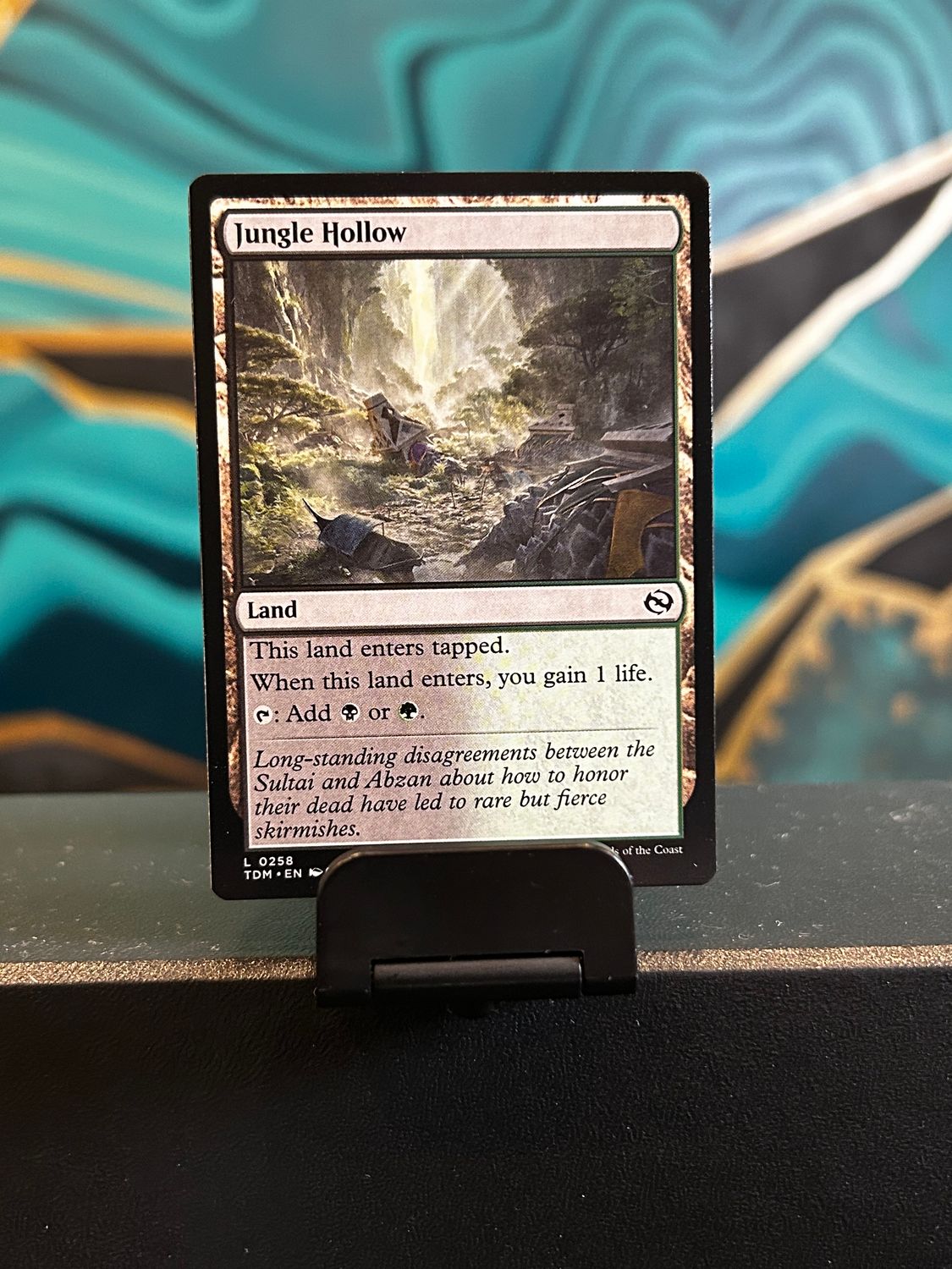 Jungle Hollow  (TDM)