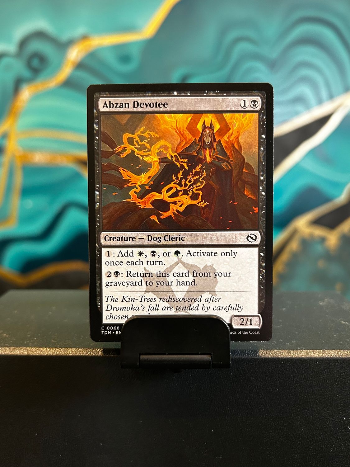 Abzan Devotee  (TDM)