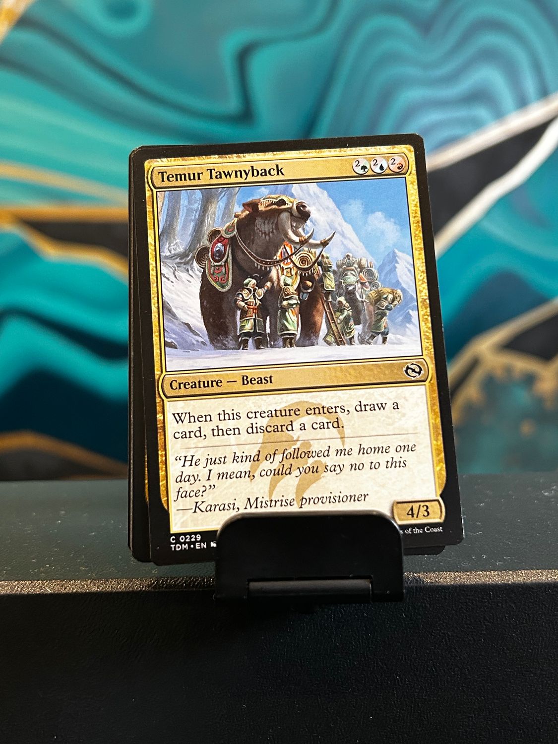 Temur Tawnyback  (TDM)