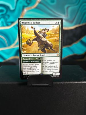 Brightcap Badger // Fungus Frolic  (BLC)