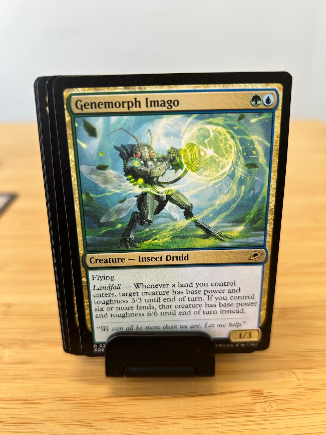 Genemorph Imago  (EOE)