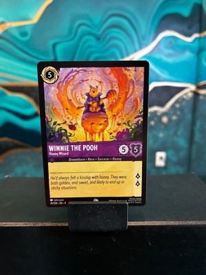 Winnie the Pooh - Hunny Wizard  41 (FAB)