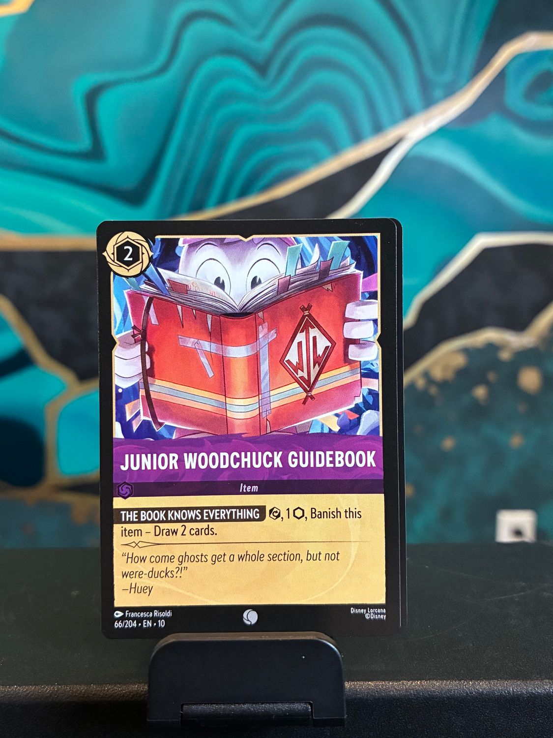 Junior Woodchuck Guidebook  66/204 (WIW)