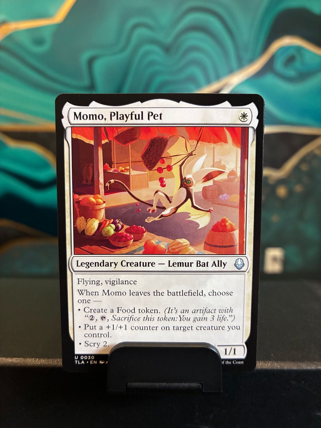 Momo, Playful Pet  (TLA)