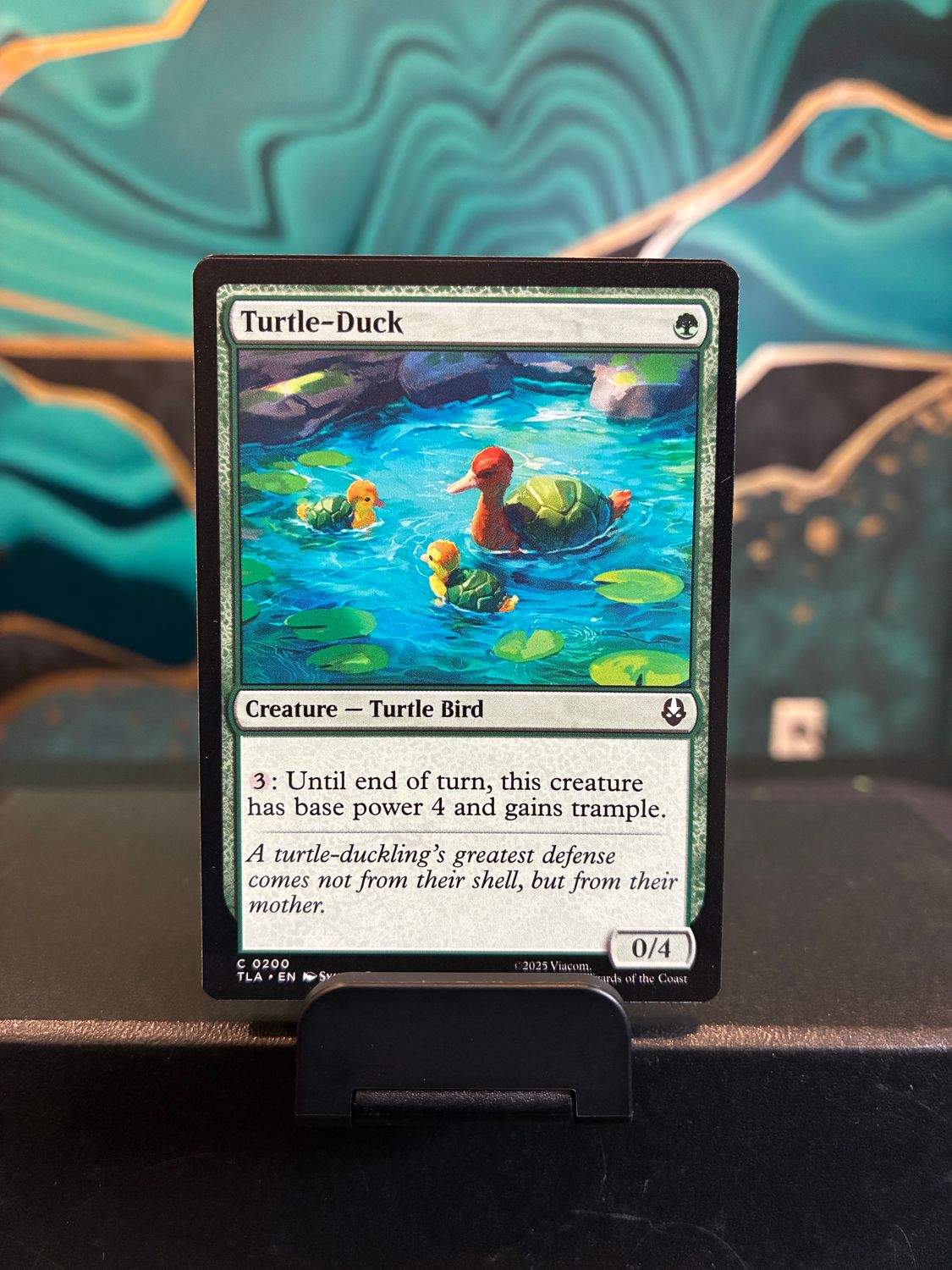 Turtle-Duck  (TLA)