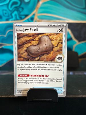 Antique Jaw Fossil  068/088 (PERFECT ORDER)