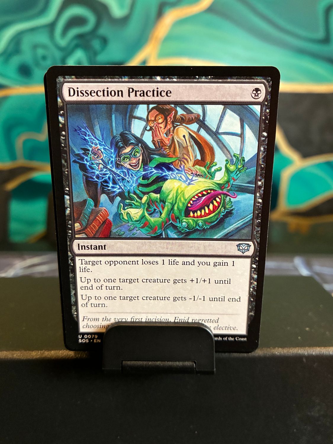 Dissection Practice  (SOS)