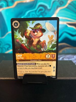 Chip - Team Player  27 (WUK)