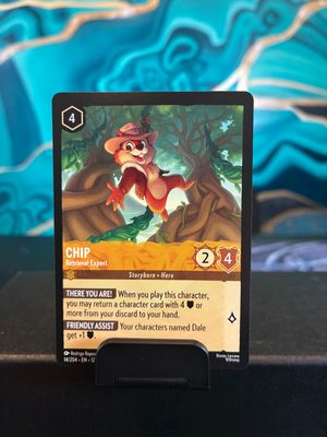 Chip - Retrieval Expert  14 (WUK)
