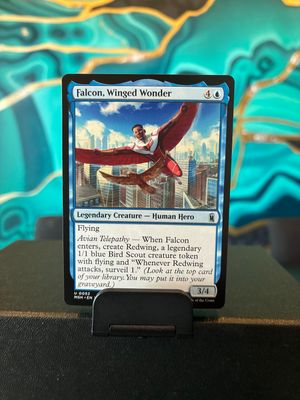 Falcon, Winged Wonder  (MSH)