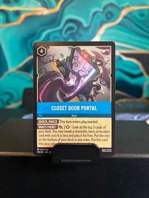 Closet Door Portal  170/207 (AOV)
