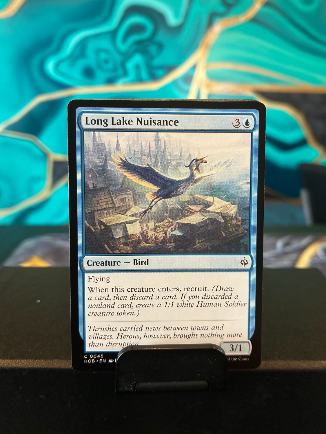 Long Lake Nuisance  (HOB)