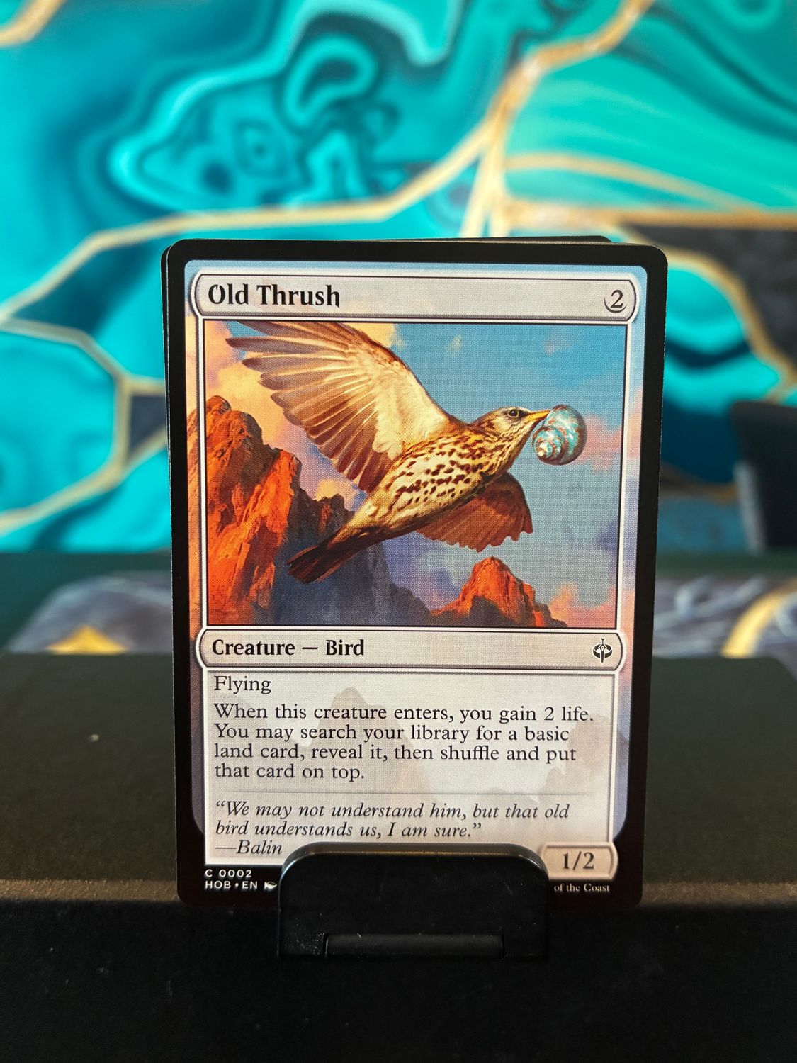 Old Thrush  (HOB)