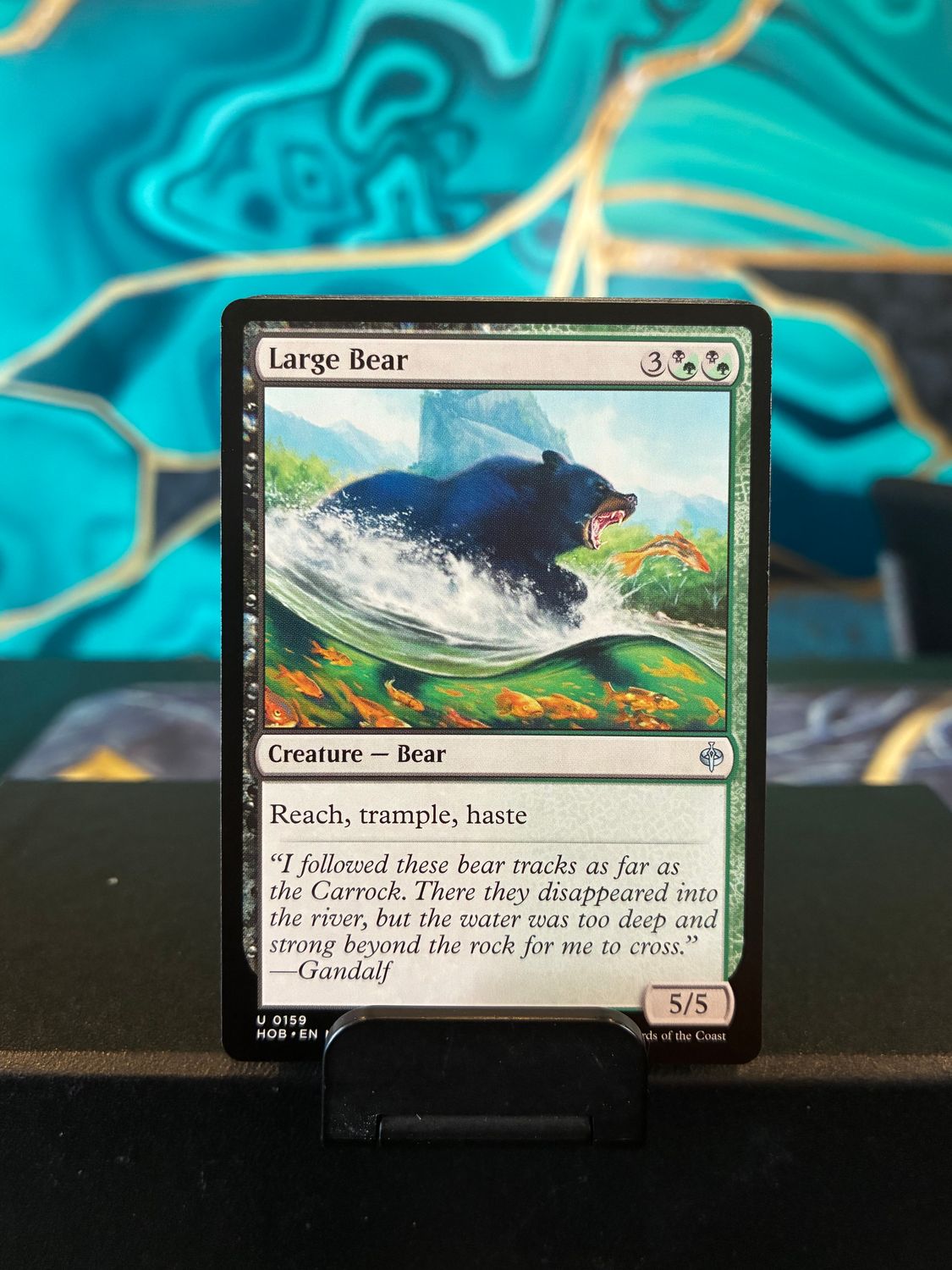 Large Bear  (HOB)