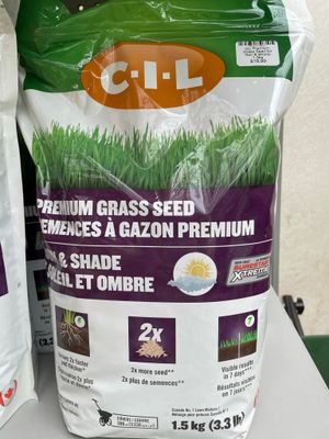 Grass Seed