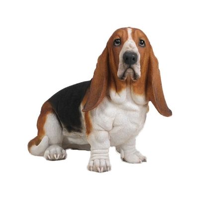 Basset Hound