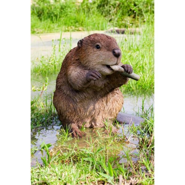 Beaver Large