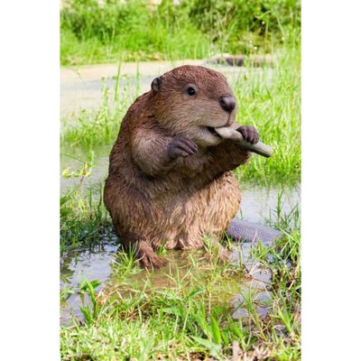 Beaver Large
