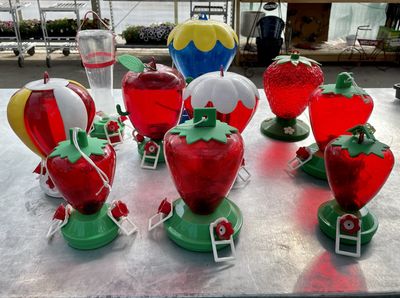 Humming Bird Feeder Asssorted