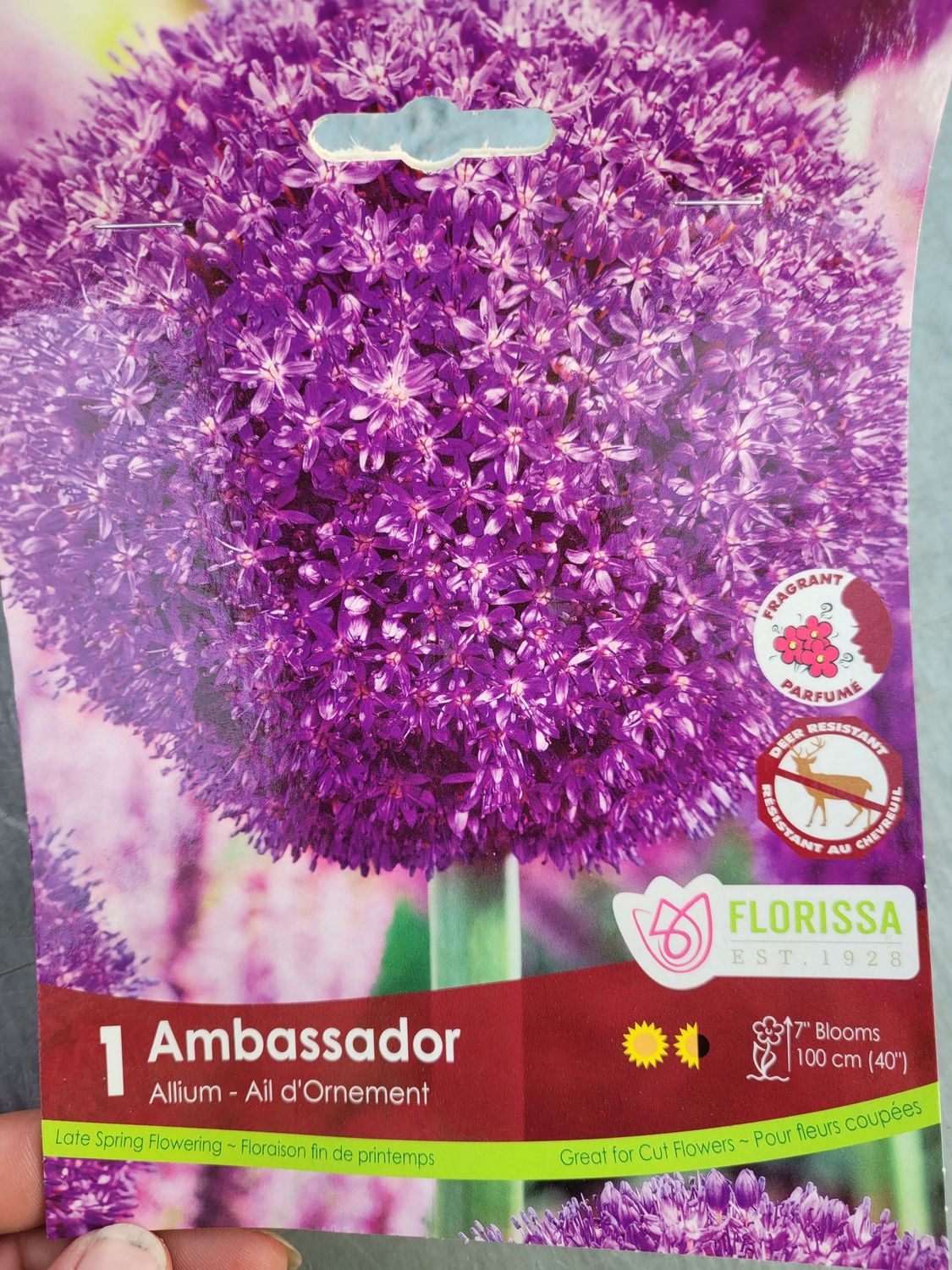 Allium Ambassador