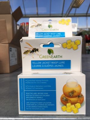 Yellow Jacket Wasp Lure