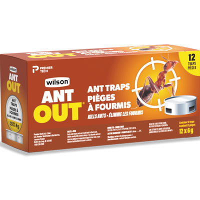 Antout Ant Traps Pk of 12