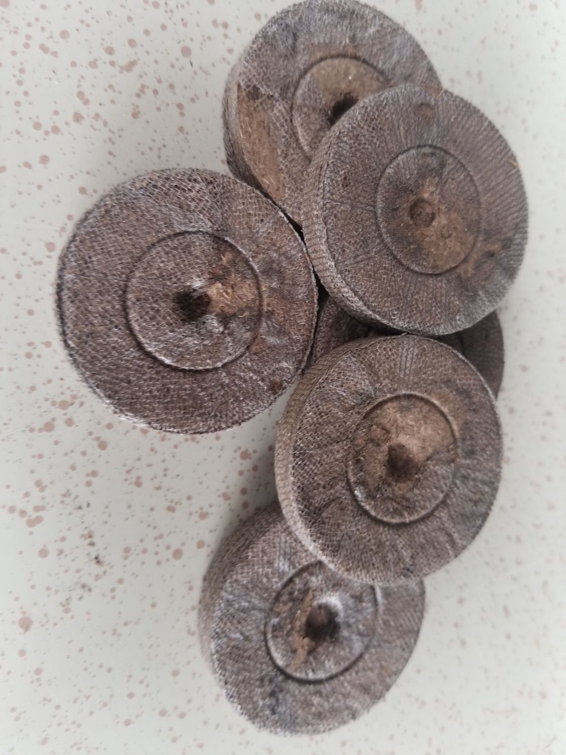 Jiffy Peat Pellet Jiffy Peat Pellet