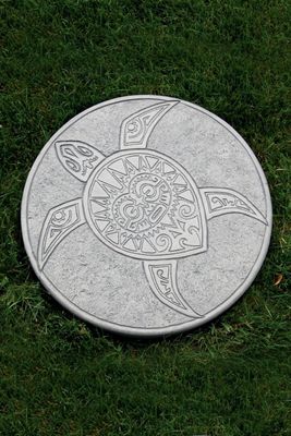 Stepping Stone Turtle