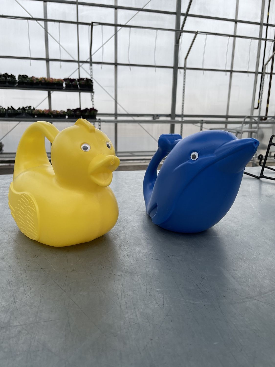 GH Kids Watering Can Dolphin
