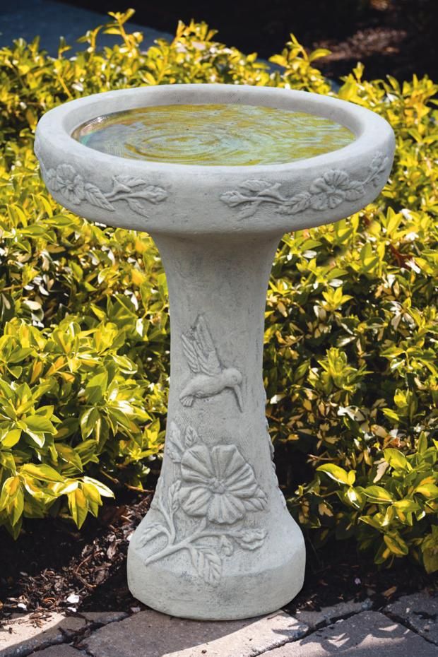 Hummingbird Birdbath One Piece