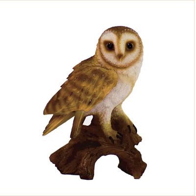 Barn Owl on Stump Small